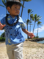 hawaii200804.jpg